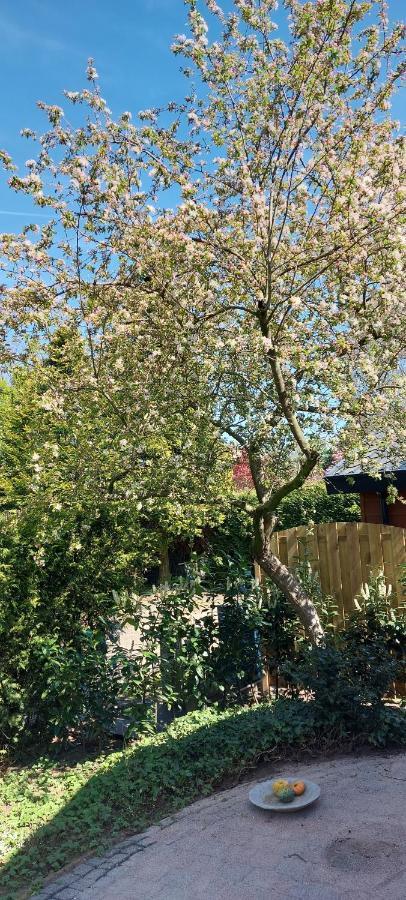 Natuur, Comfort, Rust, Mooie Omgeving Putten Εξωτερικό φωτογραφία